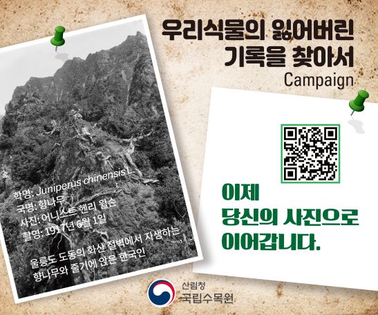 우리식물의 잃어버린 기록을 찾아서 포스터